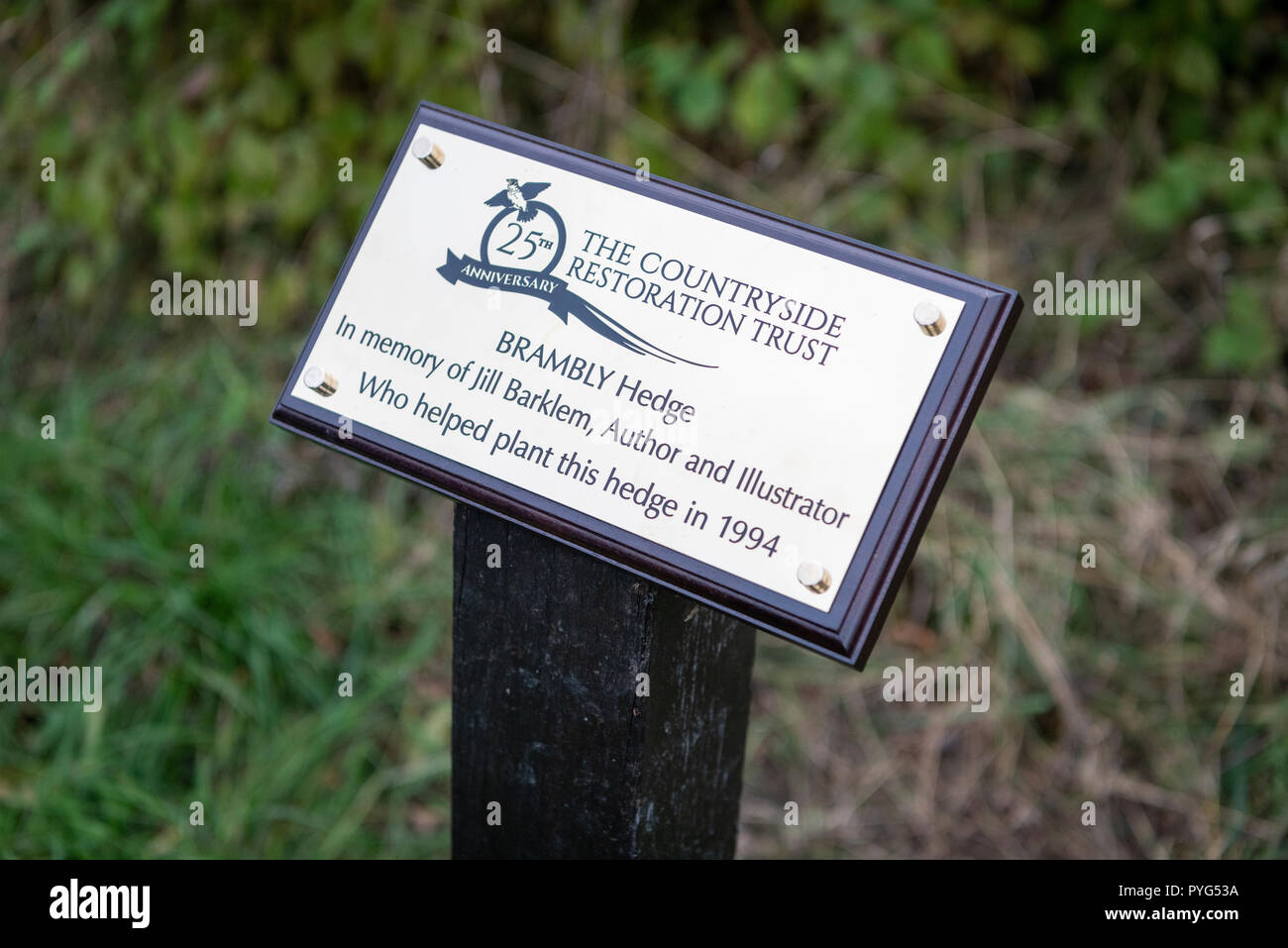 Lark Rise Farm, Barton, Cambridgeshire Regno Unito il 27 ottobre 2018. Dame Judi Dench taglia un nastro per contrassegnare la denominazione di una siepe, "Brambly Hedge" in onore del compianto scrittore e illustratore Jill Barklem chi ha scritto la Brambly Hedge serie di libri per bambini. Jill è stato un fiduciario della campagna restauro Trust (un leader agricoltura e fauna selvatica carità) e ha contribuito a piantare la copertura come un volontario di 25 anni fa. È il venticinquesimo anniversario della fiducia. Credito: Julian Eales/Alamy Live News Foto Stock