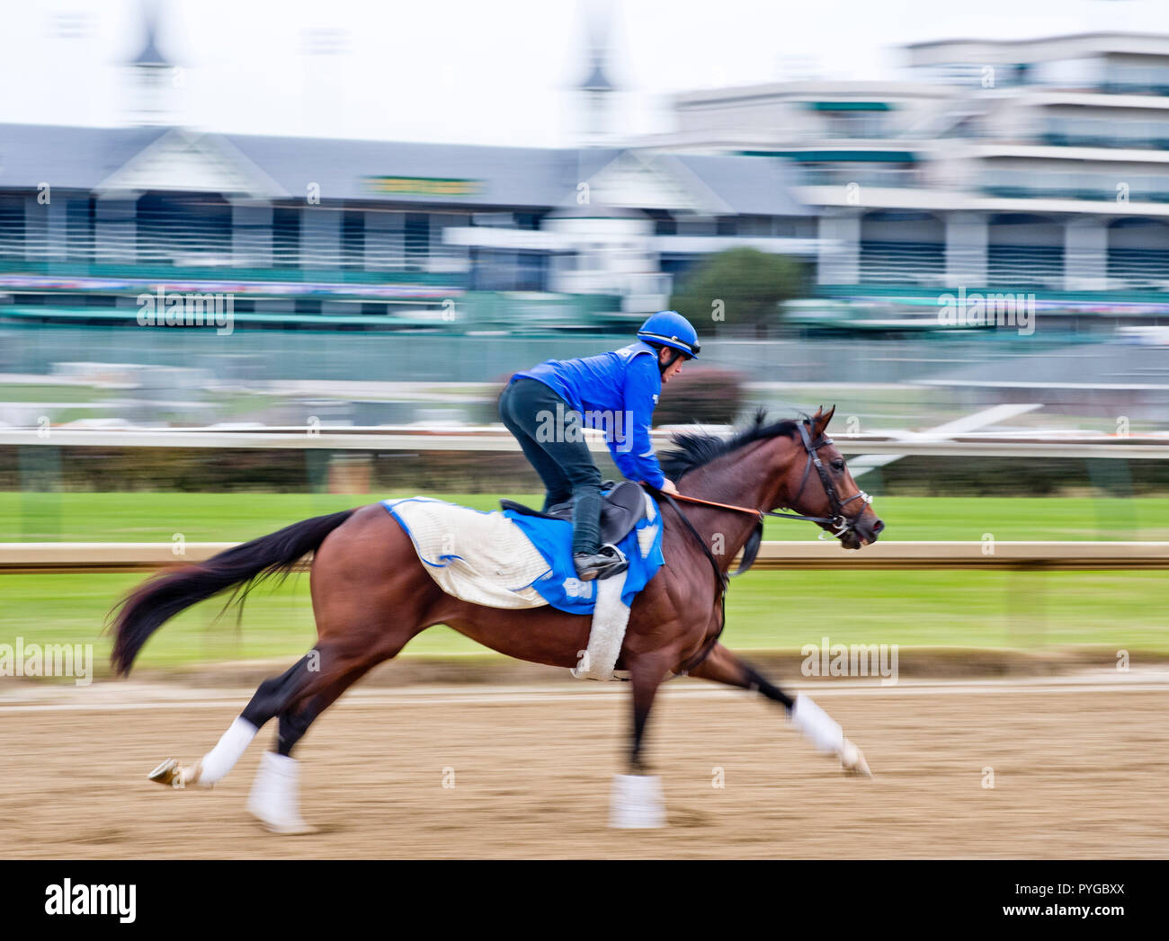 Louisville, Kentucky, Stati Uniti d'America. 25 ott 2018. Thunder Neve (IRE), addestrati da Saeed bin Suroor, esercizi in preparazione per il Breeders' Cup Classic presso Churchill Downs. Credito: csm/Alamy Live News Foto Stock