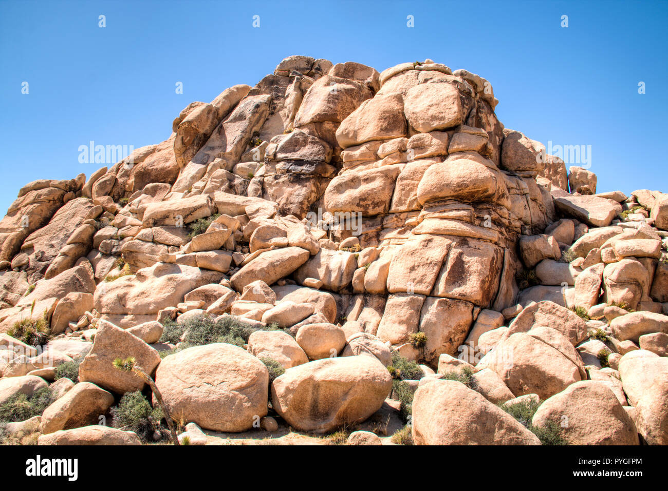 Parco nazionale di Joshua Tree con i suoi tipici alberi e formazioni rocciose nei pressi di Palm Springs nel deserto della California negli Stati Uniti Foto Stock