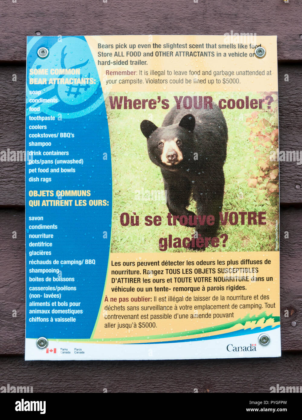 Un orso poster di avvertimento in Terra Nova National Park, Terranova. In  Francese e in inglese Foto stock - Alamy