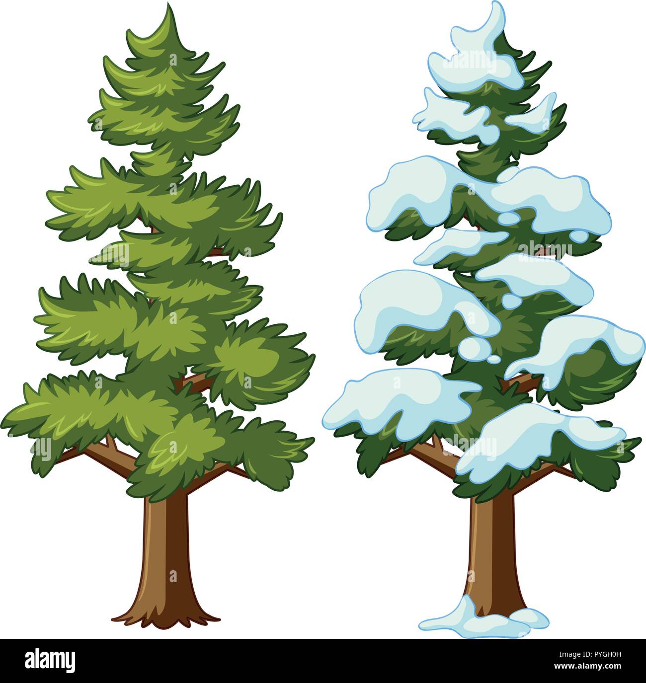 Pino in due stagioni illustrazione Illustrazione Vettoriale
