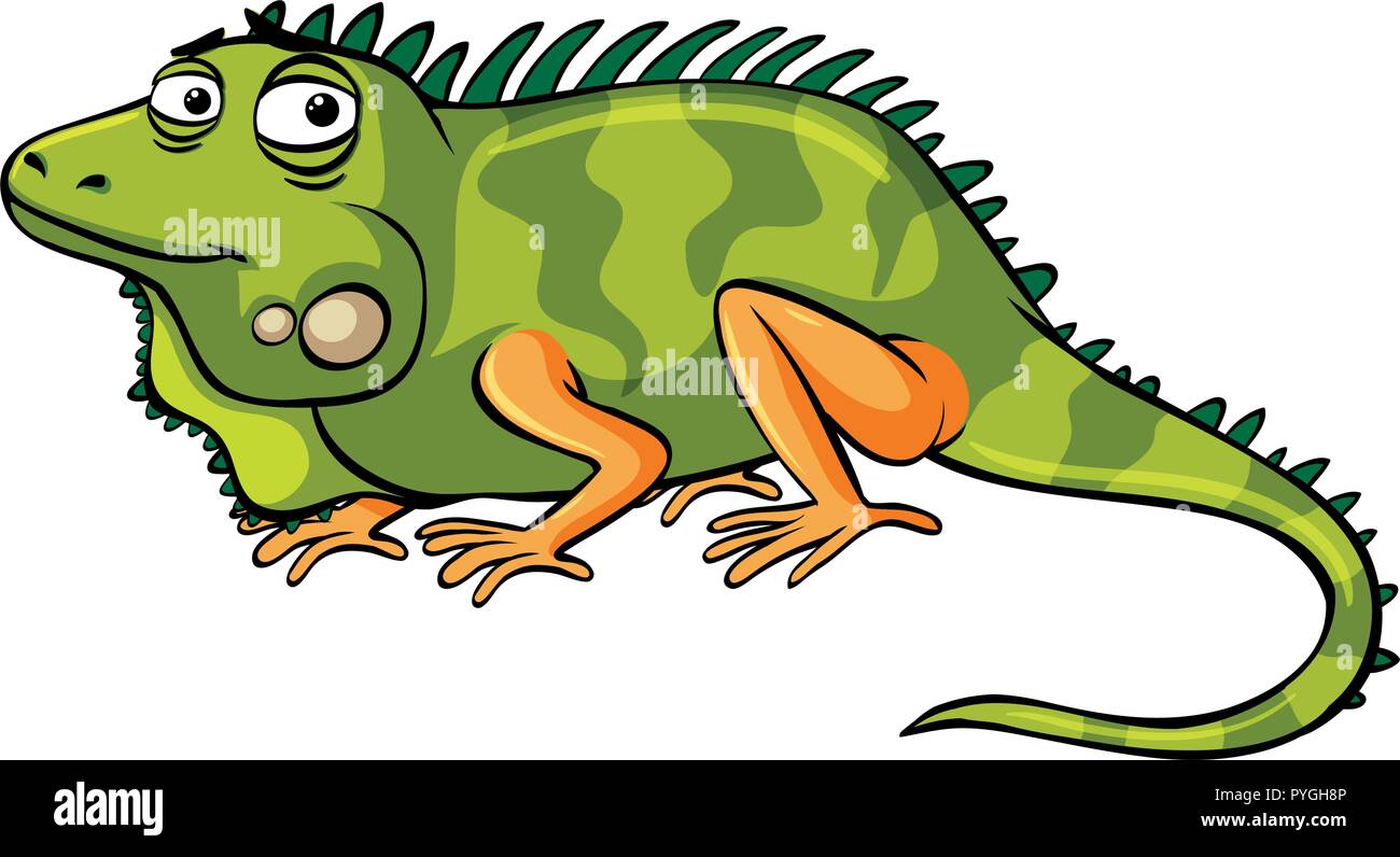 Iguana verde su sfondo bianco illustrazione Illustrazione Vettoriale