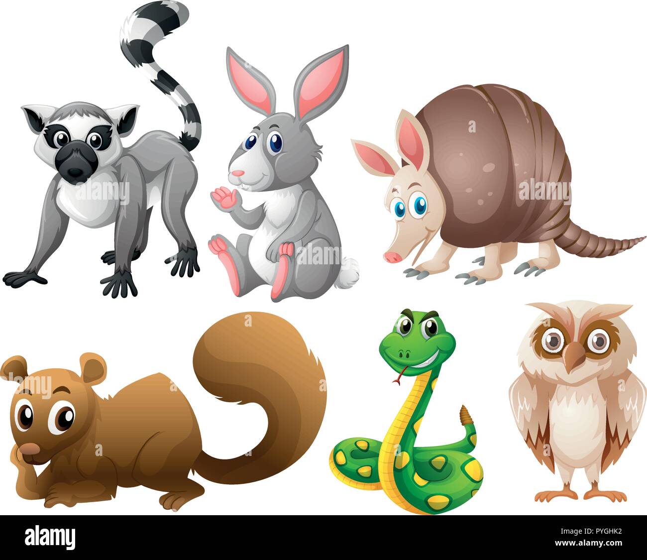 Diversi tipi di animali illustrazione Illustrazione Vettoriale