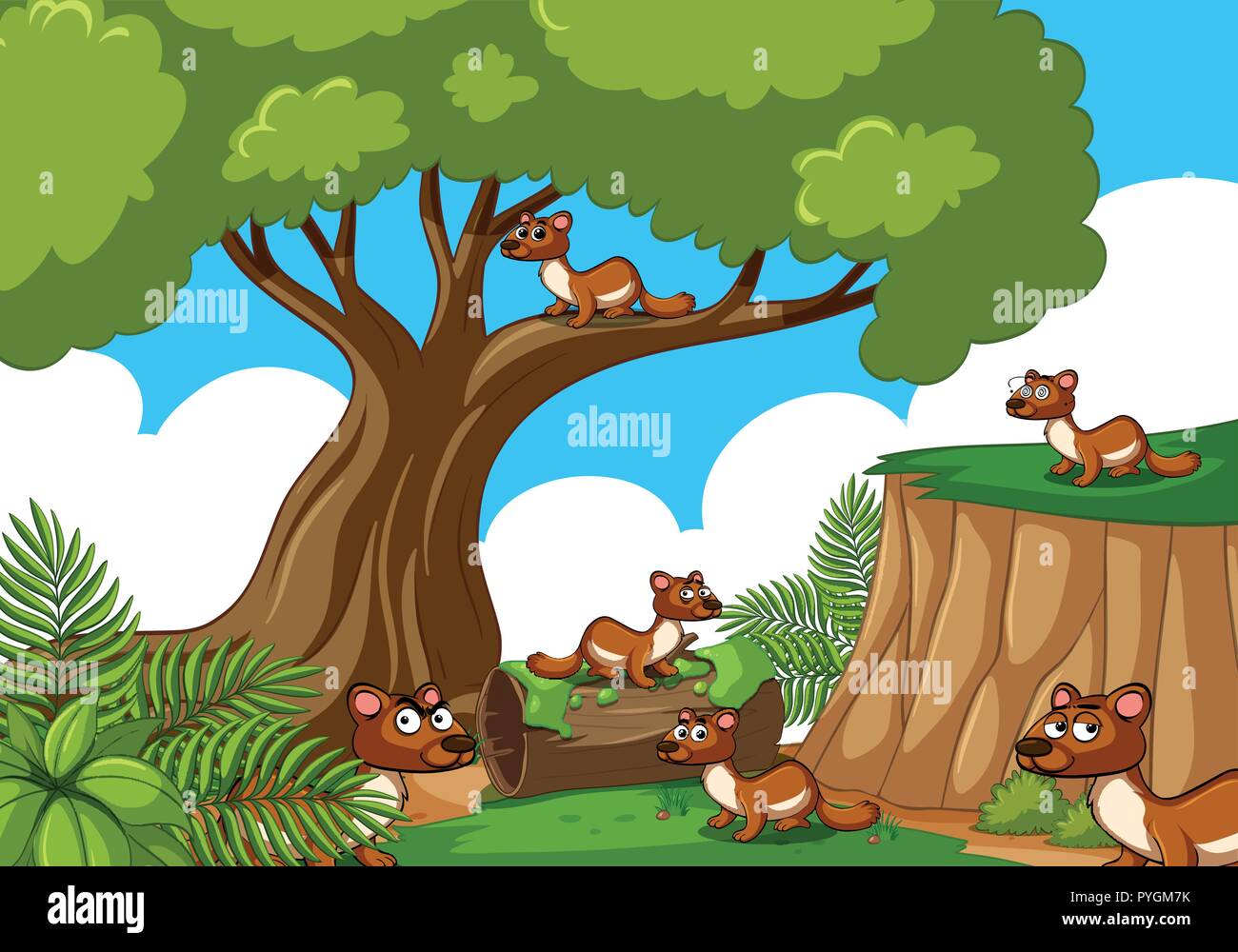 Numerosi scoiattoli nella foresta illustrazione Illustrazione Vettoriale