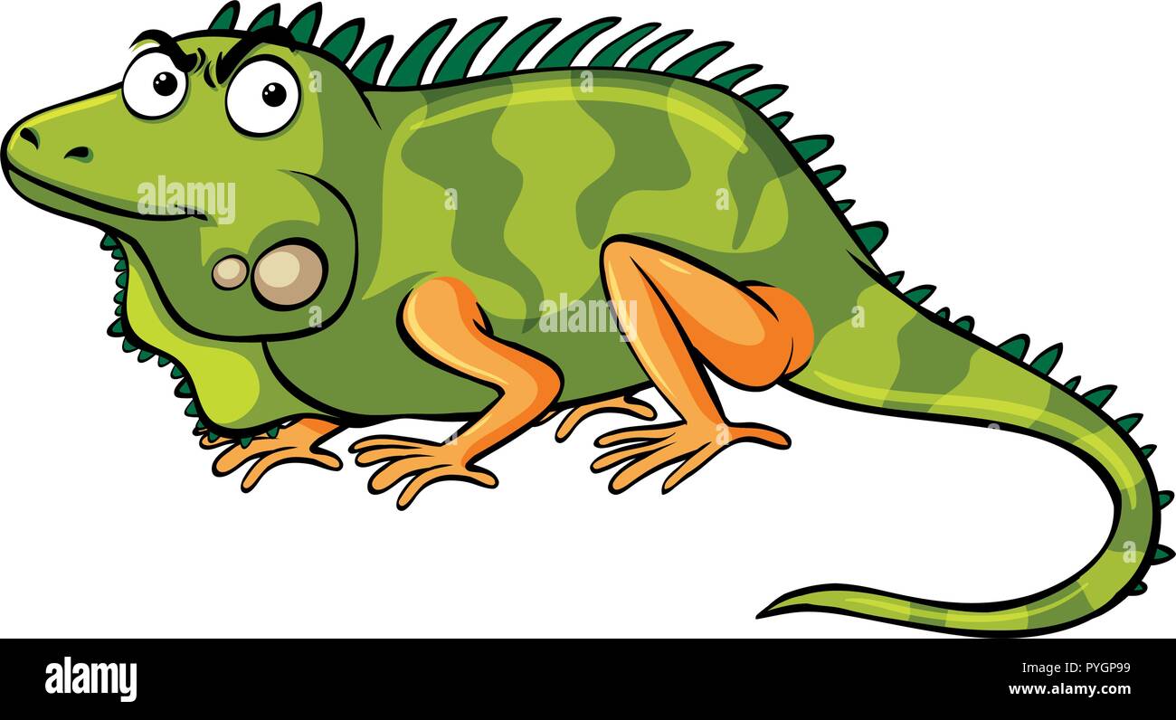 Iguana verde su sfondo bianco illustrazione Illustrazione Vettoriale