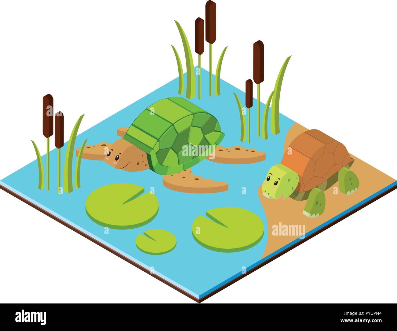 Scena di stagno con due tartarughe in 3D design illustrazione Illustrazione Vettoriale