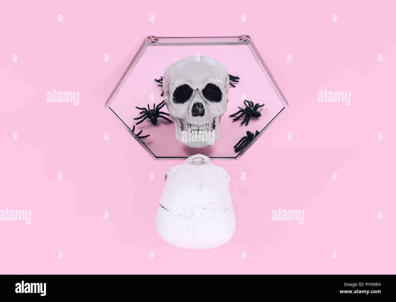 Teschio sul trendy rosa pastello sfondo. Creative concetto di Halloween. Foto Stock