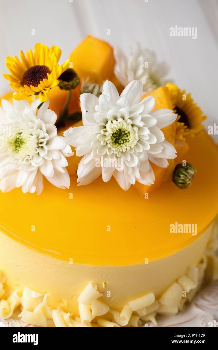 Mango cheesecake con gelatina di giallo topping, di fiori e di mango fresco pezzi su sfondo bianco, composizione verticale Foto Stock