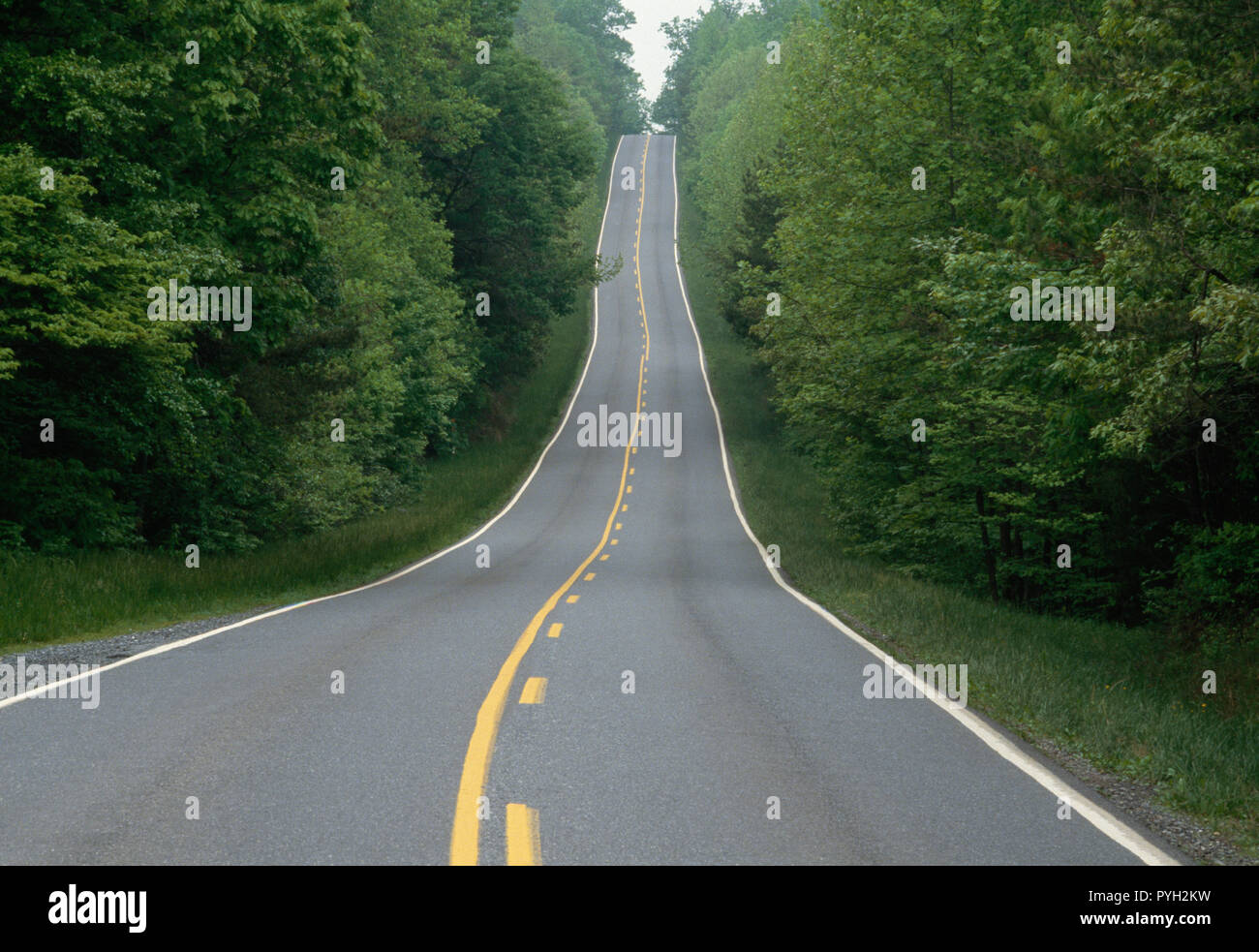 Due corsie stradali del paese si estende oltre la prossima collina, Virginia, Stati Uniti d'America Foto Stock