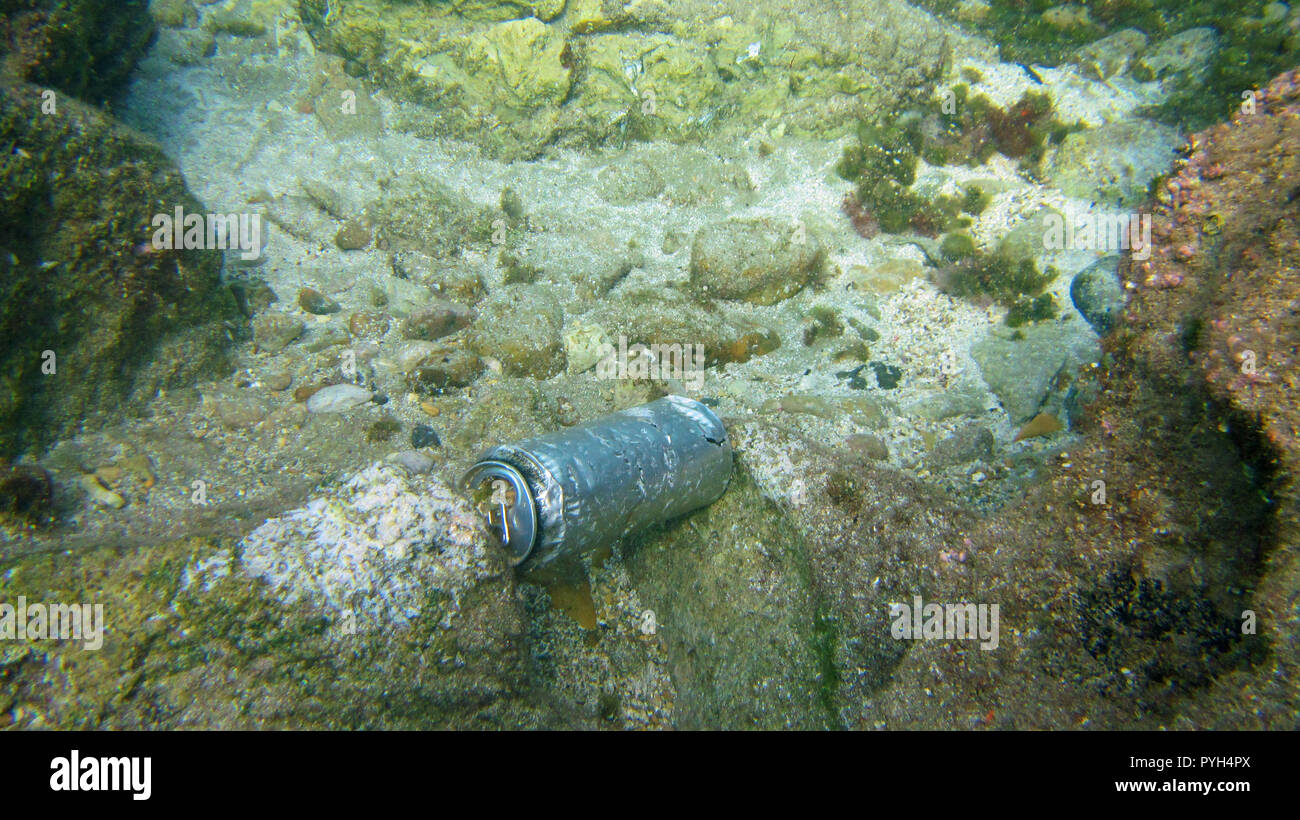 Argento può, rifiuti su terreni sassosi fondo marino sotto l'acqua, concetto di inquinamento underwater Foto Stock