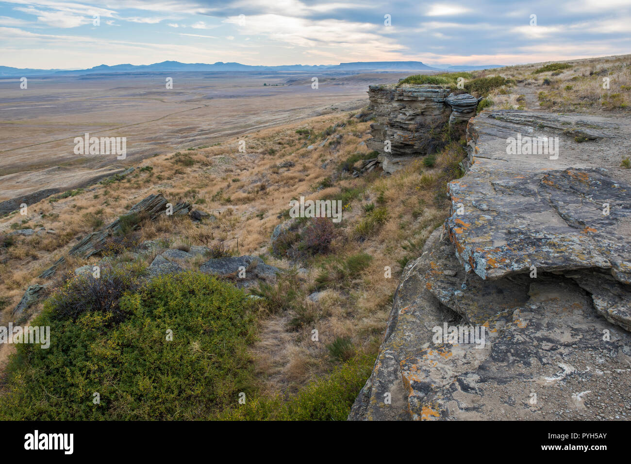 Buffalo Jump, primi popoli Buffalo Jump SP, Montana, da Bruce Montagne/Dembinsky Foto Assoc Foto Stock