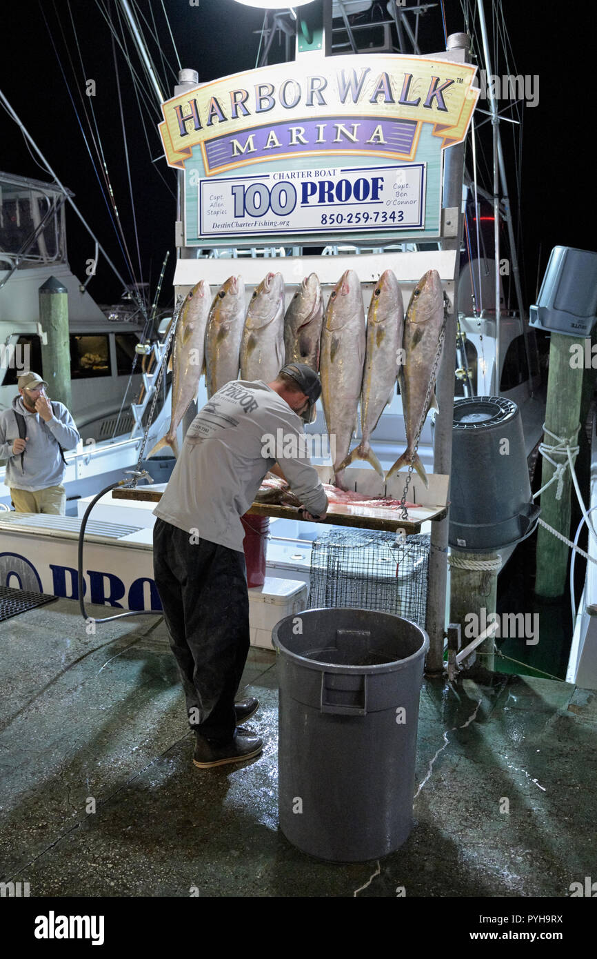 Pescatore commerciale sfilettatura il pescato del giorno al porto a piedi Marina dove il Destin Florida flotta da pesca legare e vendono il loro pesce fresco. Foto Stock