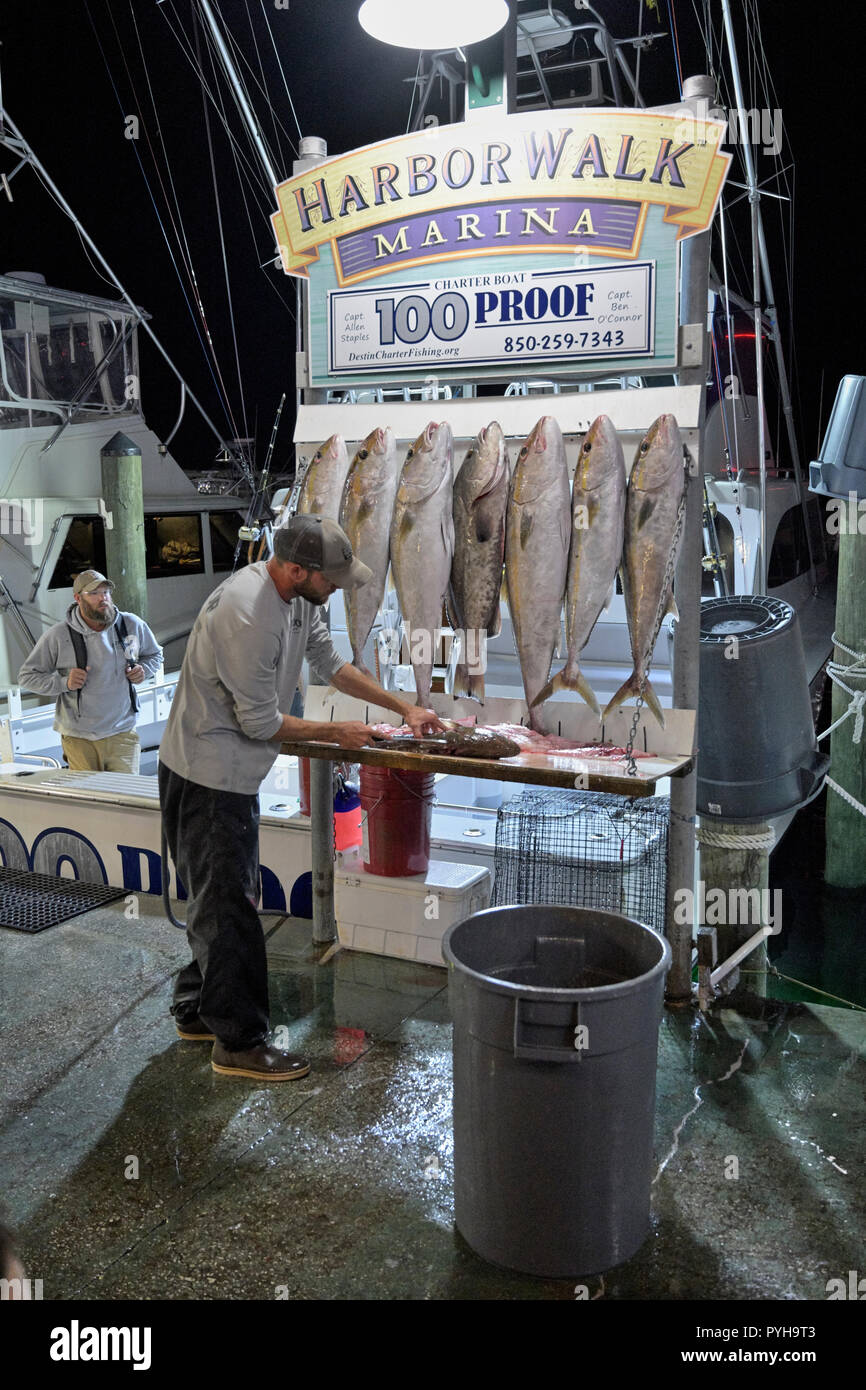 Pescatore commerciale sfilettatura il pescato del giorno al porto a piedi Marina dove il Destin Florida flotta da pesca legare e vendono il loro pesce fresco. Foto Stock