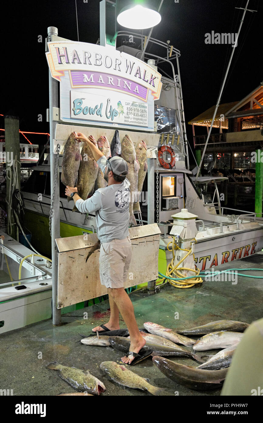 Pescatore commerciale di appendere il pescato del giorno al porto a piedi Marina dove il Destin Florida flotta da pesca legare e vendono il loro pesce fresco. Foto Stock