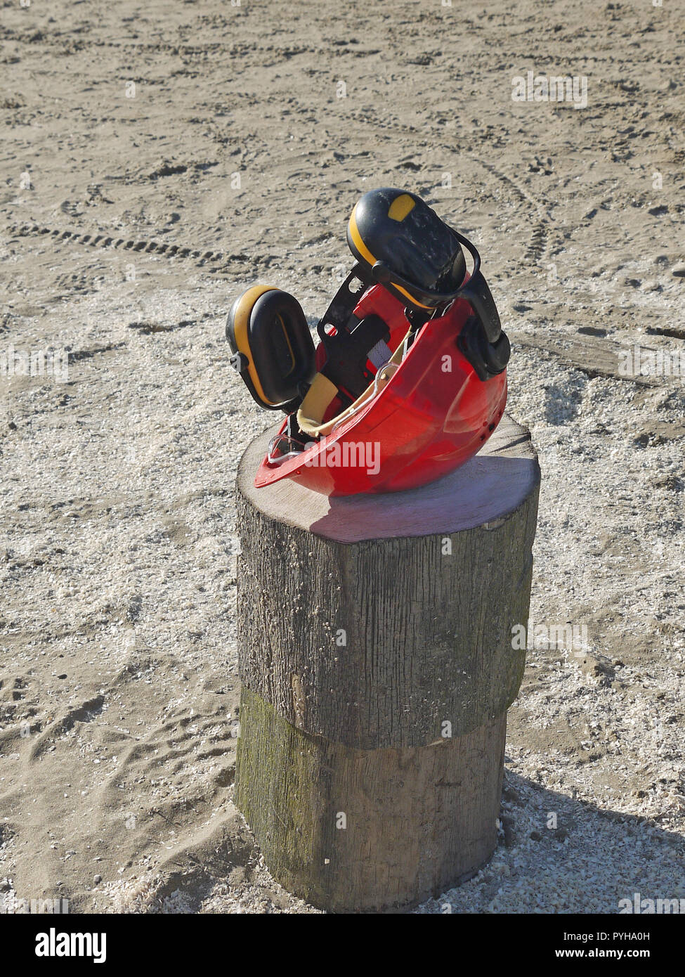 Casco di sicurezza sul log sulla spiaggia Foto Stock