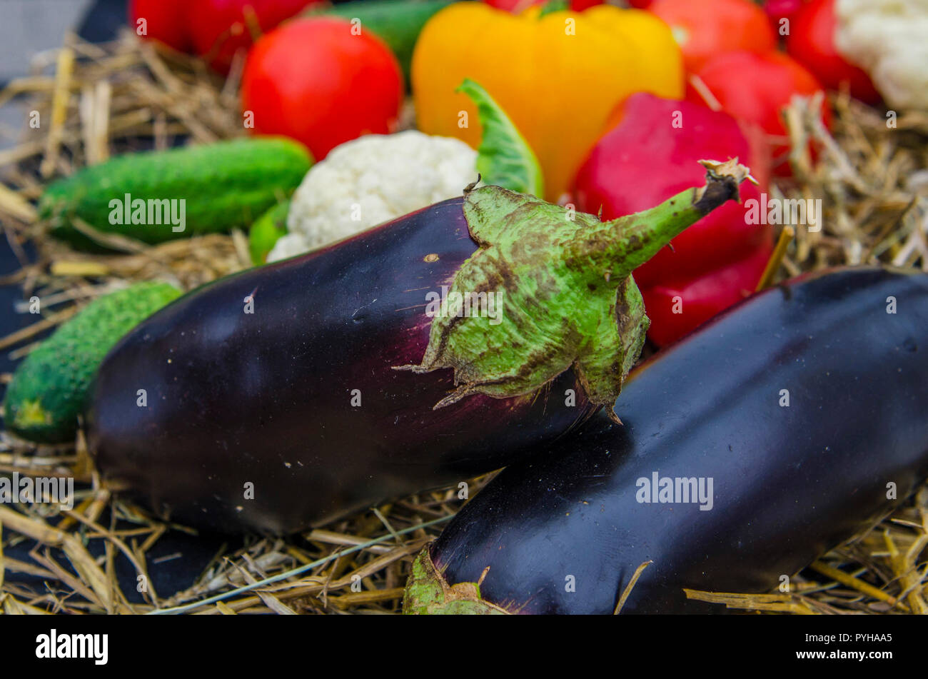Verdure colorate e fieno. La mietitura. Diversi ortaggi: pepe, pomodoro, cetriolo, melanzana, cavolfiore, cavolo Foto Stock