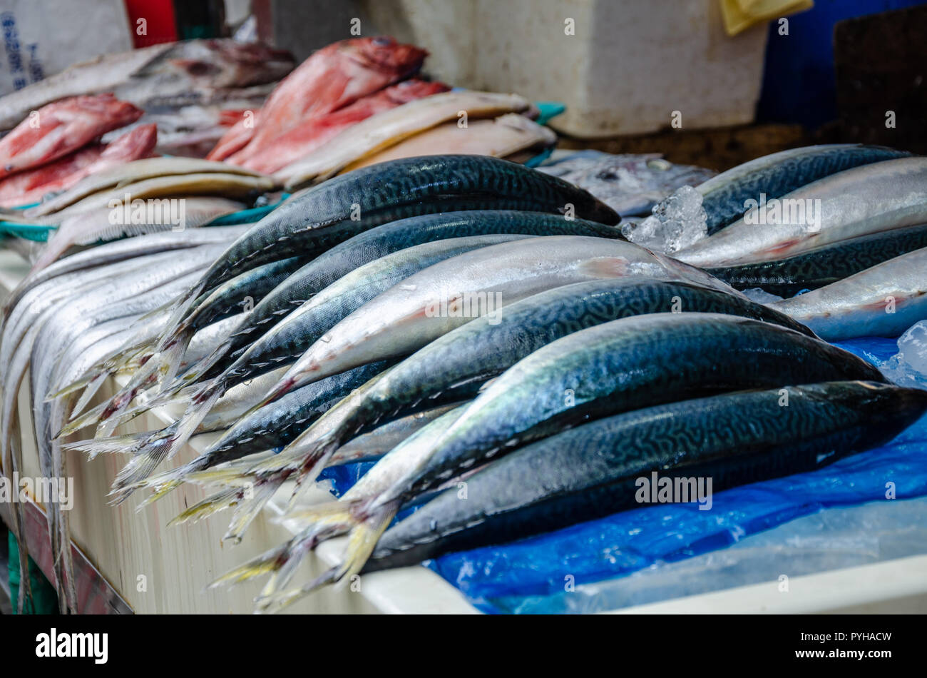 Pesce fresco visualizzati al di fuori di un ristorante di pesce in Haeundae, Busam, Corea del sud. Foto Stock