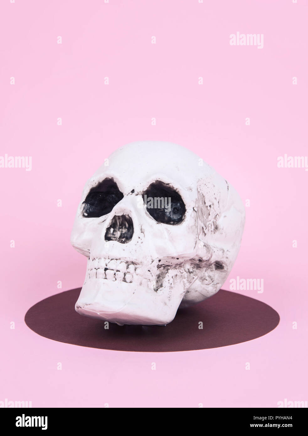 Teschio sul trendy rosa pastello sfondo. Creative concetto di Halloween. Foto Stock