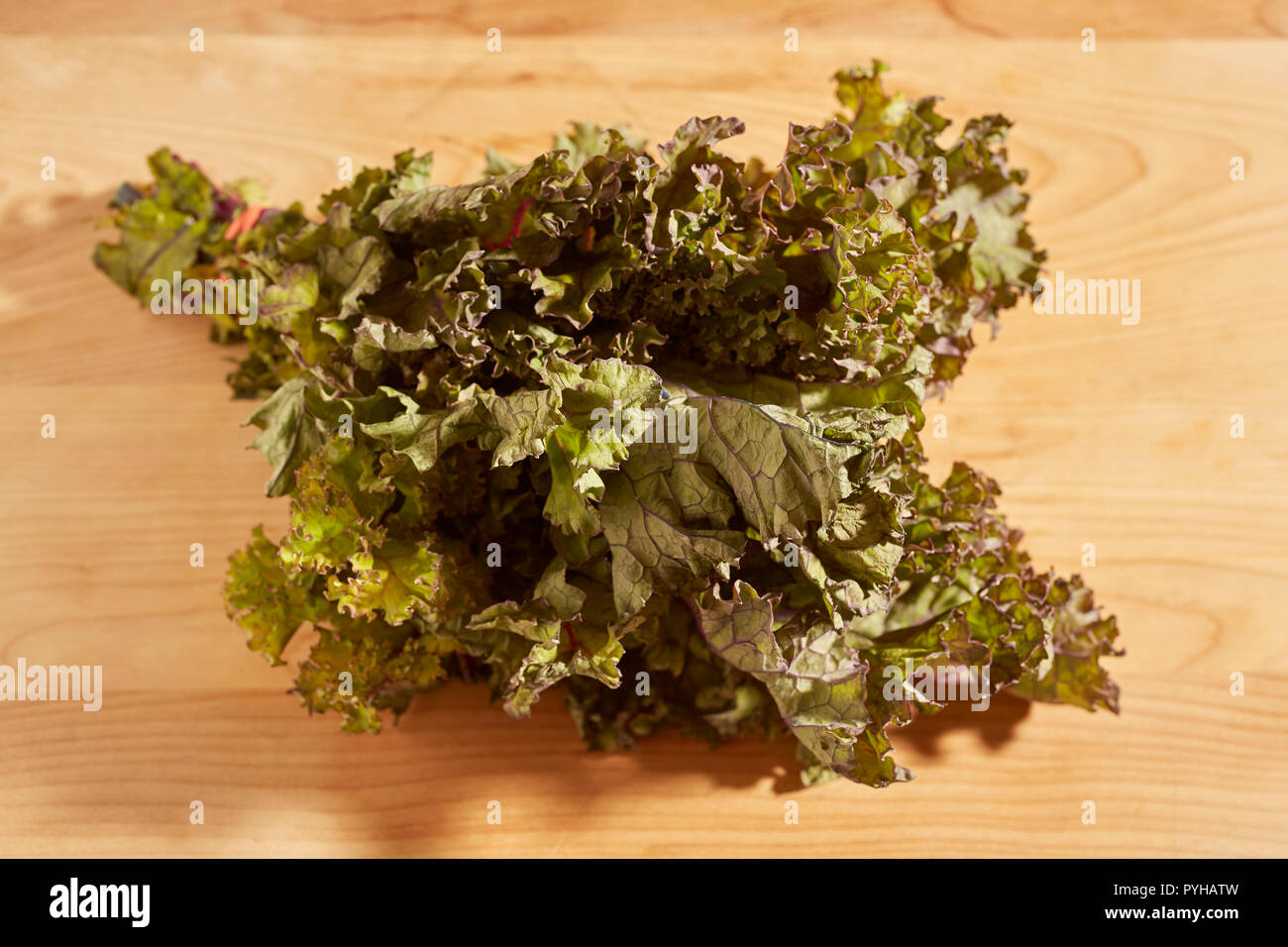 Un mazzetto di materie, red leaf kale, un popolare di verdura verde. Foto Stock