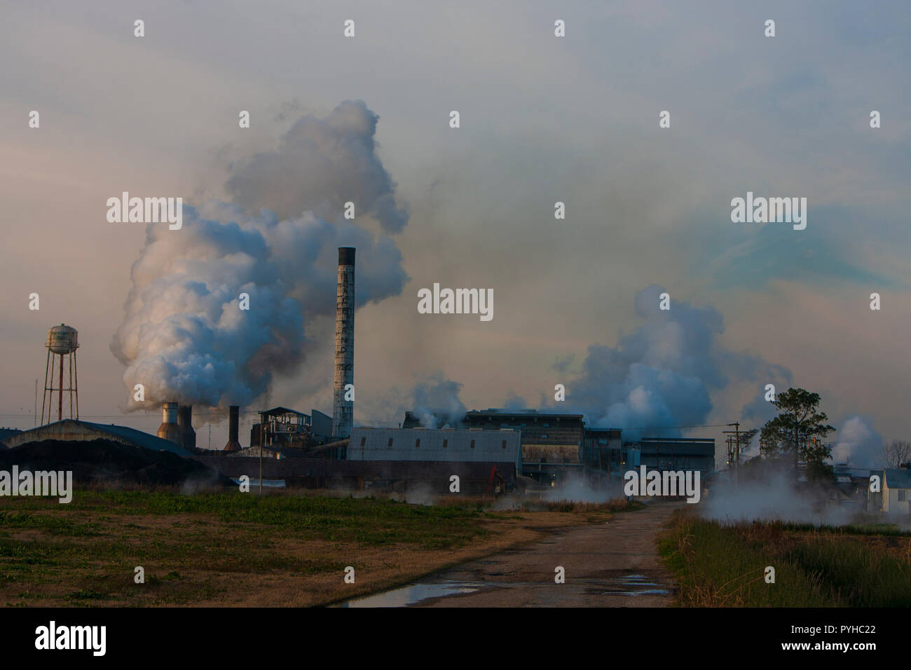 La Raceland Raw Sugar Corporation è una delle 11 fabbriche di zucchero greggio che operano in Louisiana. L'americano medio consuma quasi 152-libbre di zucchero a y Foto Stock