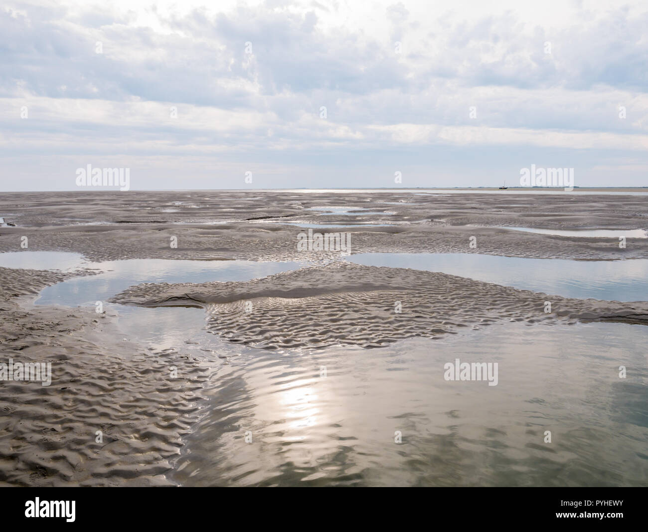 Appartamenti di sabbia con la bassa marea del mare di marea Waddensea vicino a Boschplaat, Terschelling, Paesi Bassi Foto Stock