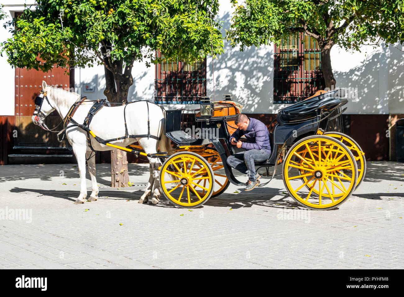 Un autista di carrozza trainata da cavalli sul suo cellulare attende i passeggeri in una soleggiato lite plaza a Siviglia, Spagna Foto Stock