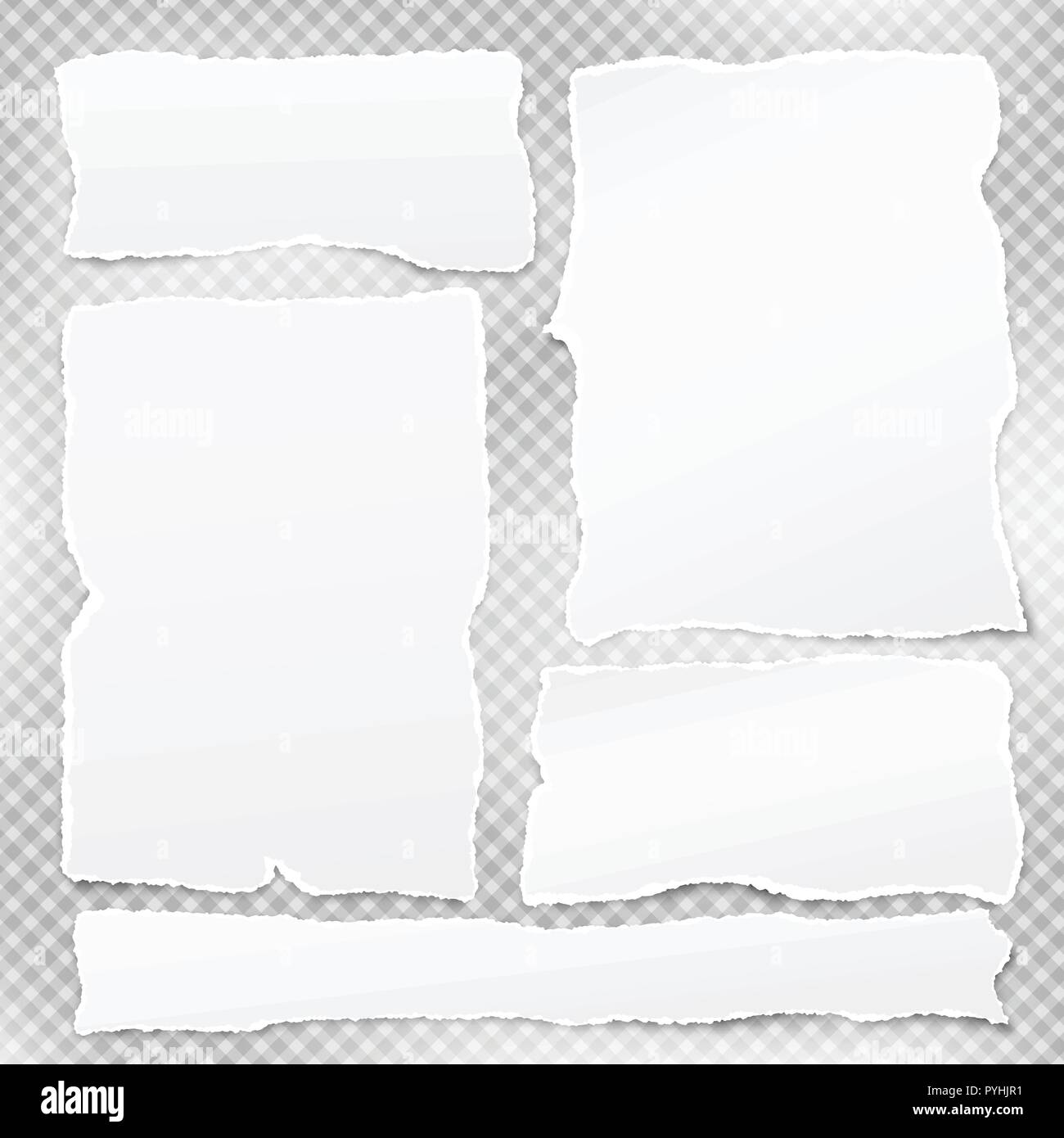 Set di bianco strappato le strisce di carta lacerata nota carta per testo o messaggio sono sul quadrato grigio Sfondo. Illustrazione Vettoriale Illustrazione Vettoriale