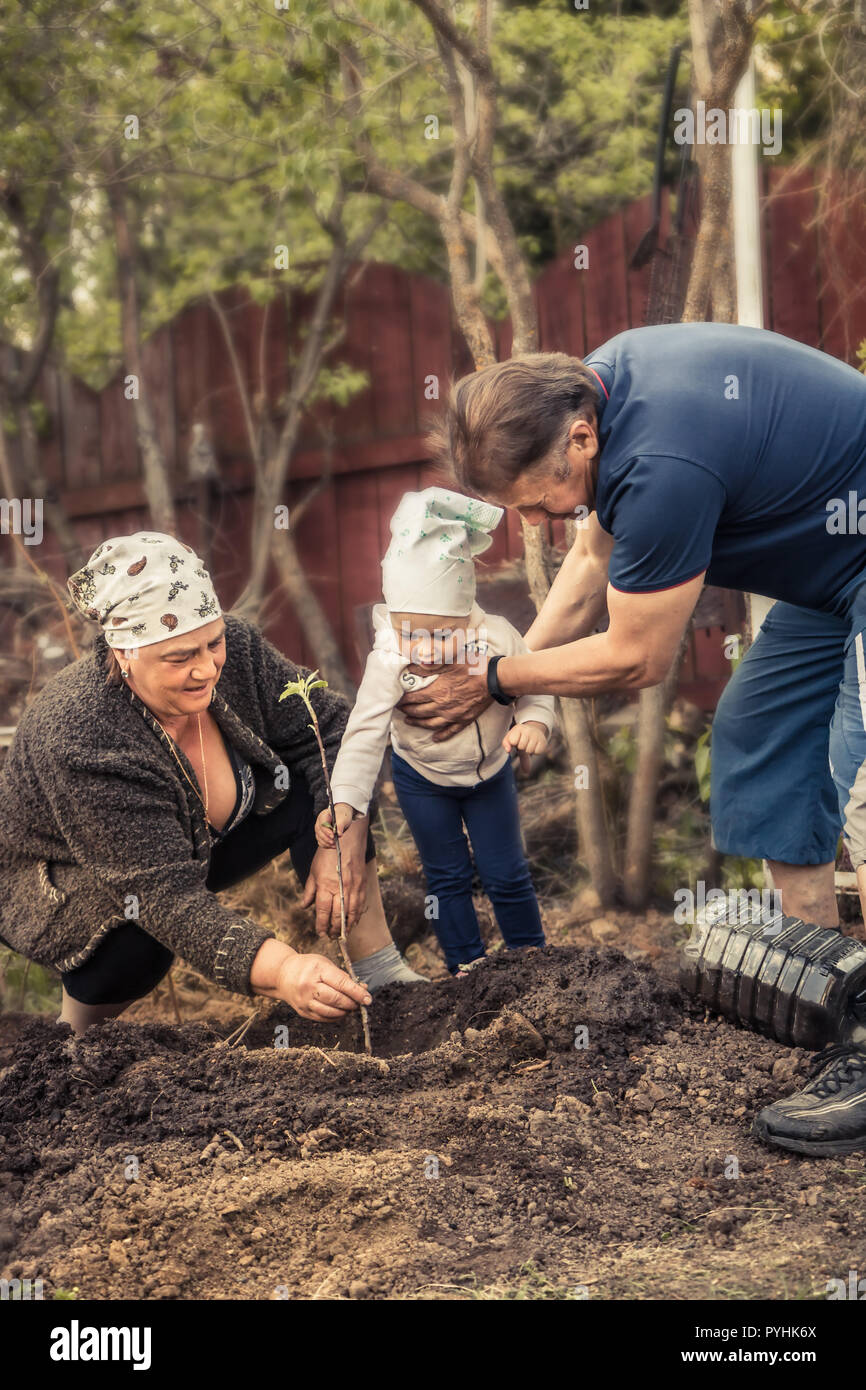 Felice giardiniere nonni nipoti insieme piantare grandparenting salva gli alberi la conservazione ambientale concetto Foto Stock
