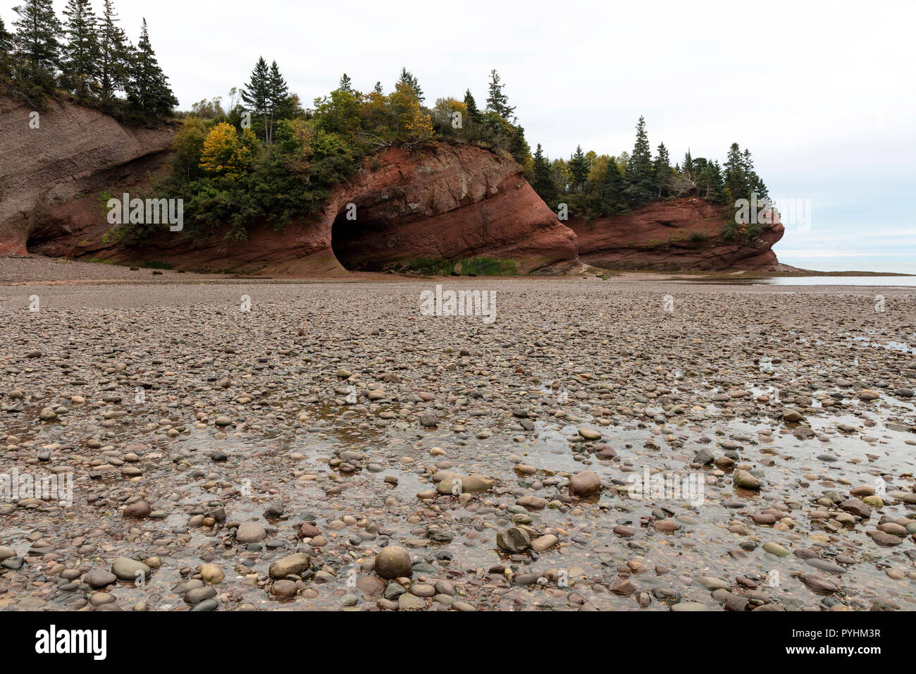 Rosso scogliere di arenaria, spiaggia, bassa marea, golfo di St Lawrence, Prince Edward Island, Canada, da James D. Coppinger/Dembinsky Foto Assoc Foto Stock