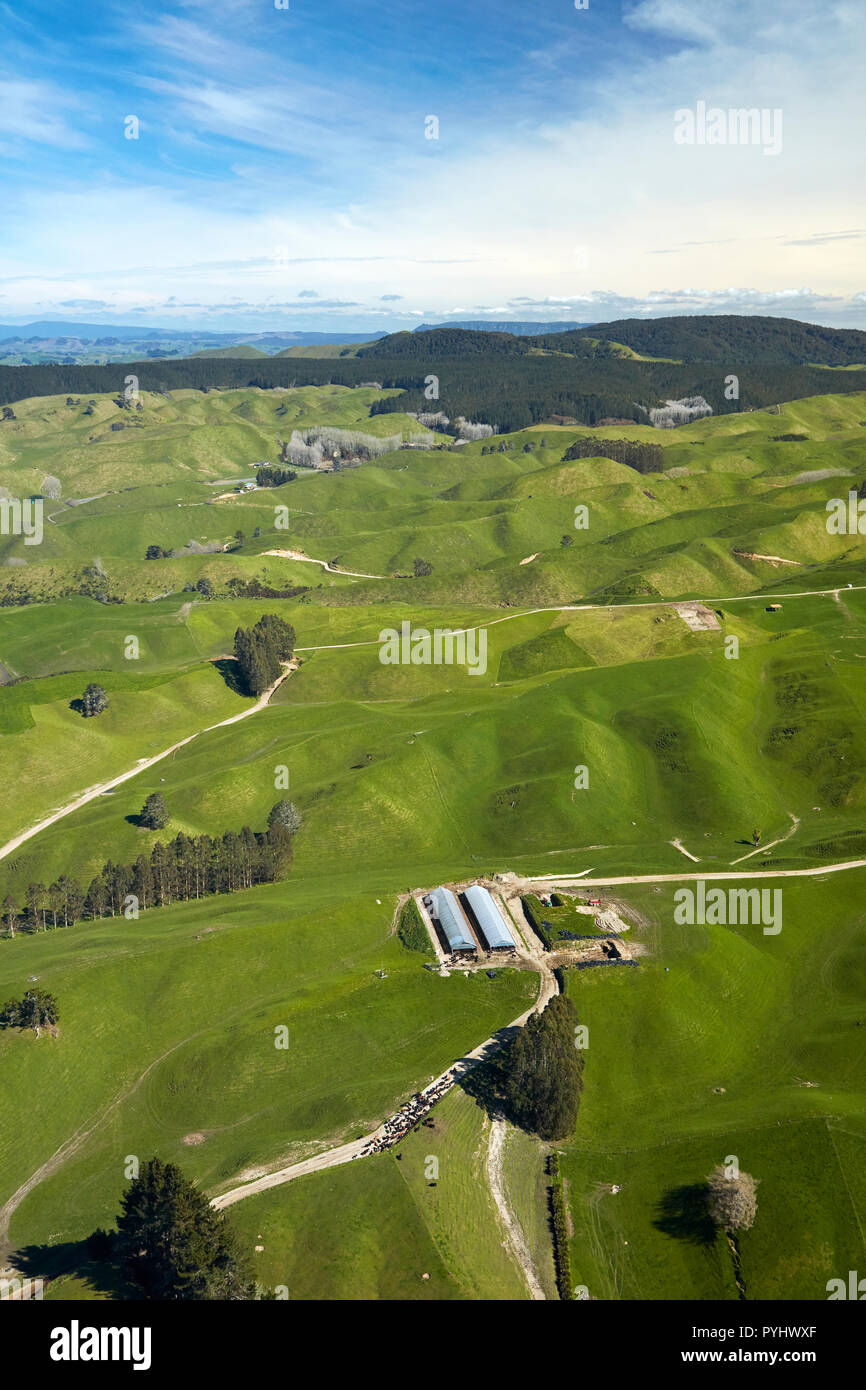 Terreni agricoli vicino a Rotorua, Isola del nord, Nuova Zelanda - aerial Foto Stock