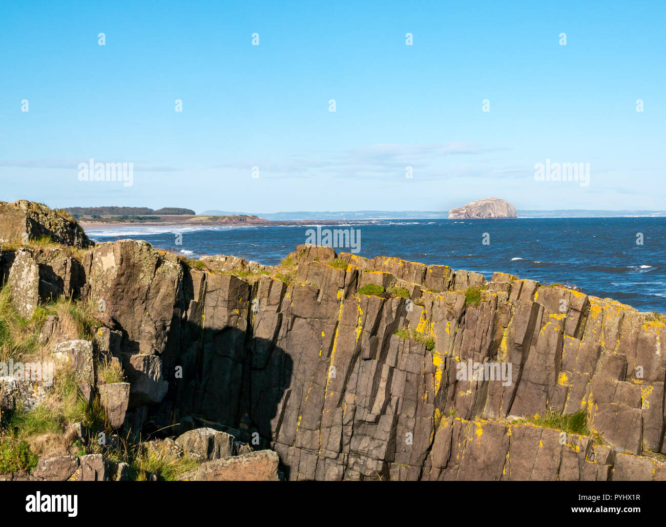 Vista di Bass Rock in via di via con il basalto formazione di roccia in primo piano, East Lothian costa, Scotland, Regno Unito Foto Stock