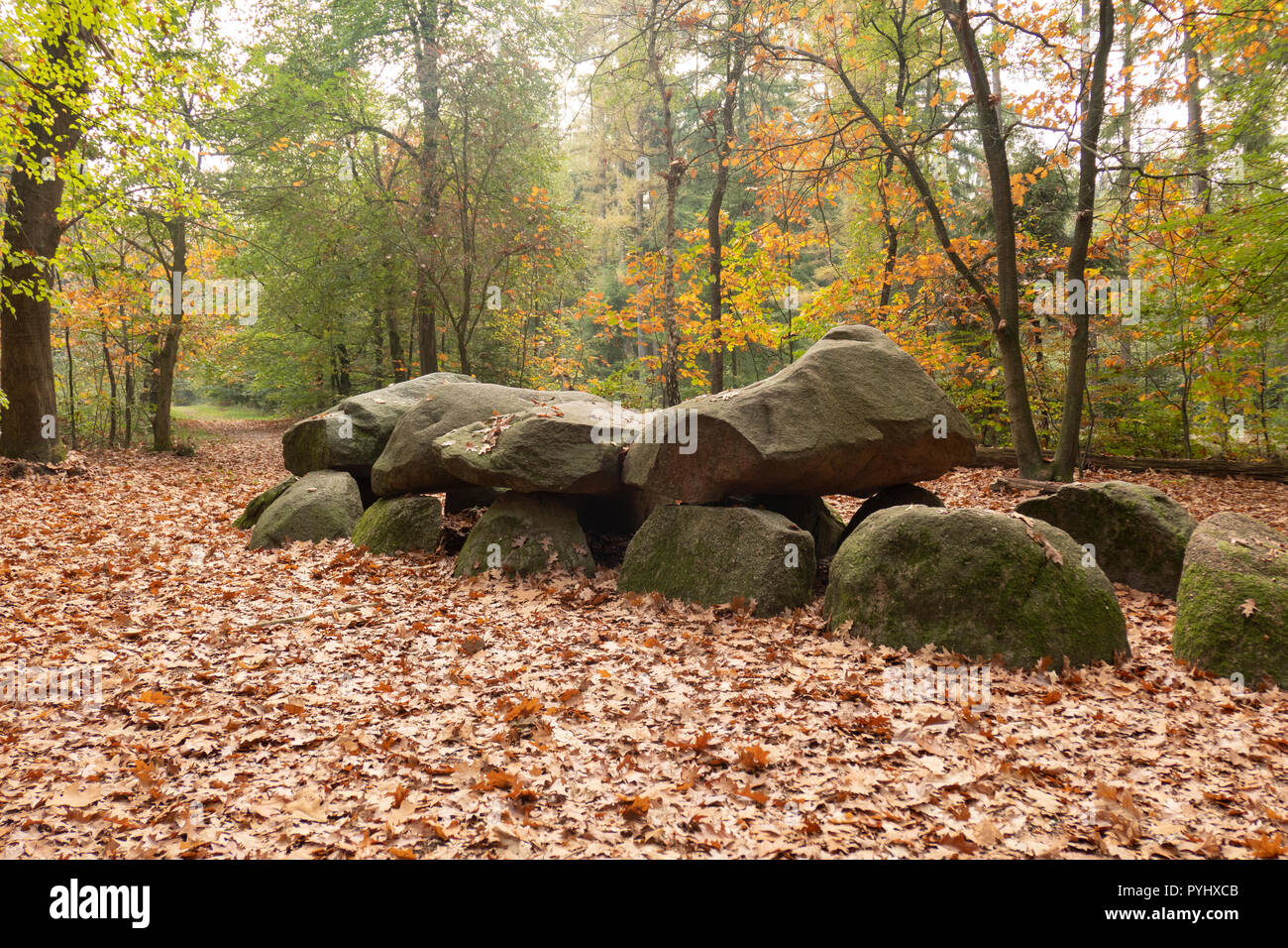 D9 hunebed dolmen in Annen, Drenthe nel nord dei Paesi Bassi Foto Stock