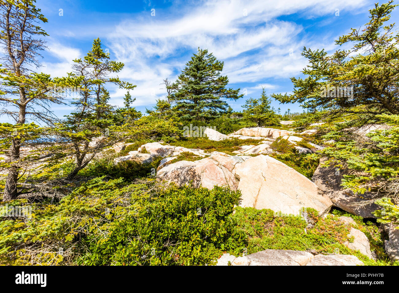 Penisola Schoodic sull'Oceano Atlantico nel Parco Nazionale di Acadia sulla costa del Maine negli Stati Uniti Foto Stock