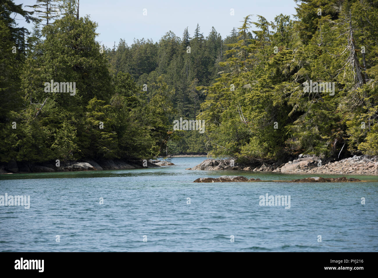 Le rotte delle isole del gruppo è un gruppo di piccole isole e isolotti in suono di Barkley sulla costa occidentale dell'isola di Vancouver, British Columbia, Canada. Foto Stock