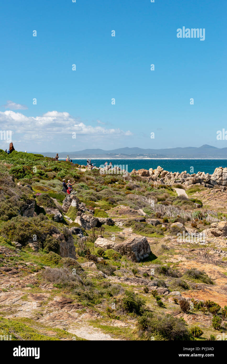 Hermanus, Western Cape, Sud Africa Foto Stock