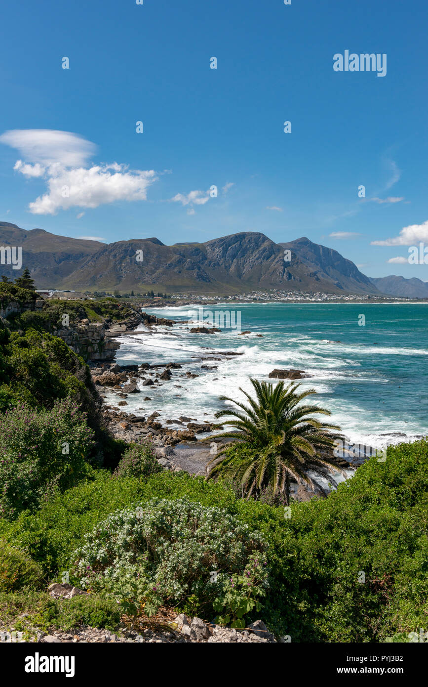 Hermanus, Western Cape, Sud Africa Foto Stock