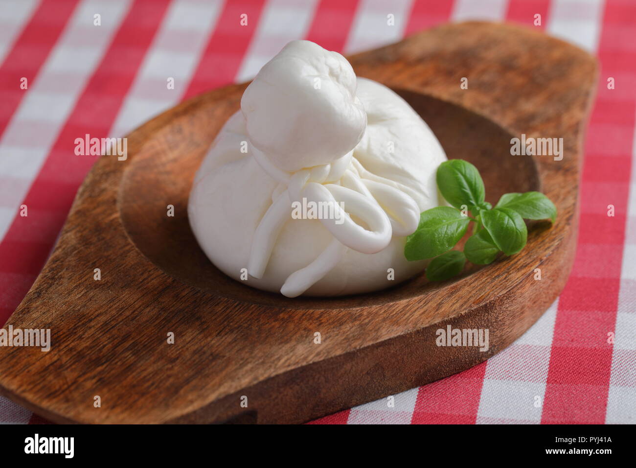 Burrata formaggio e foglia di basilico closeup Foto Stock