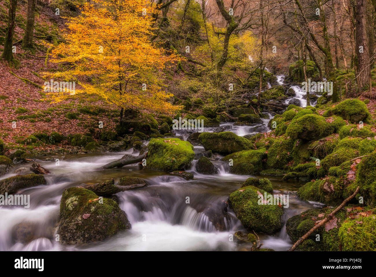 Minffordd Cascades Foto Stock