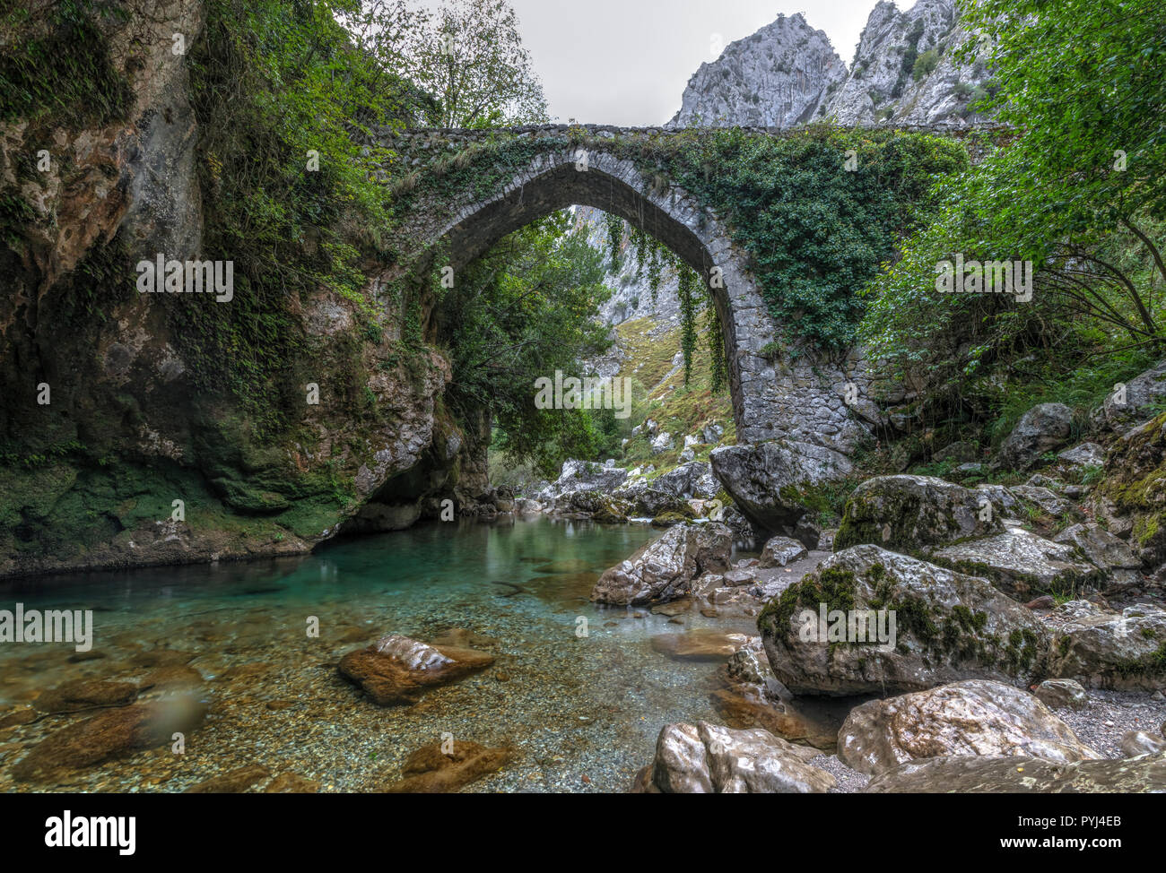 Puente La Jaya, Rio Cares, Picos de Europa, Asturias, Spagna, Europa Foto Stock