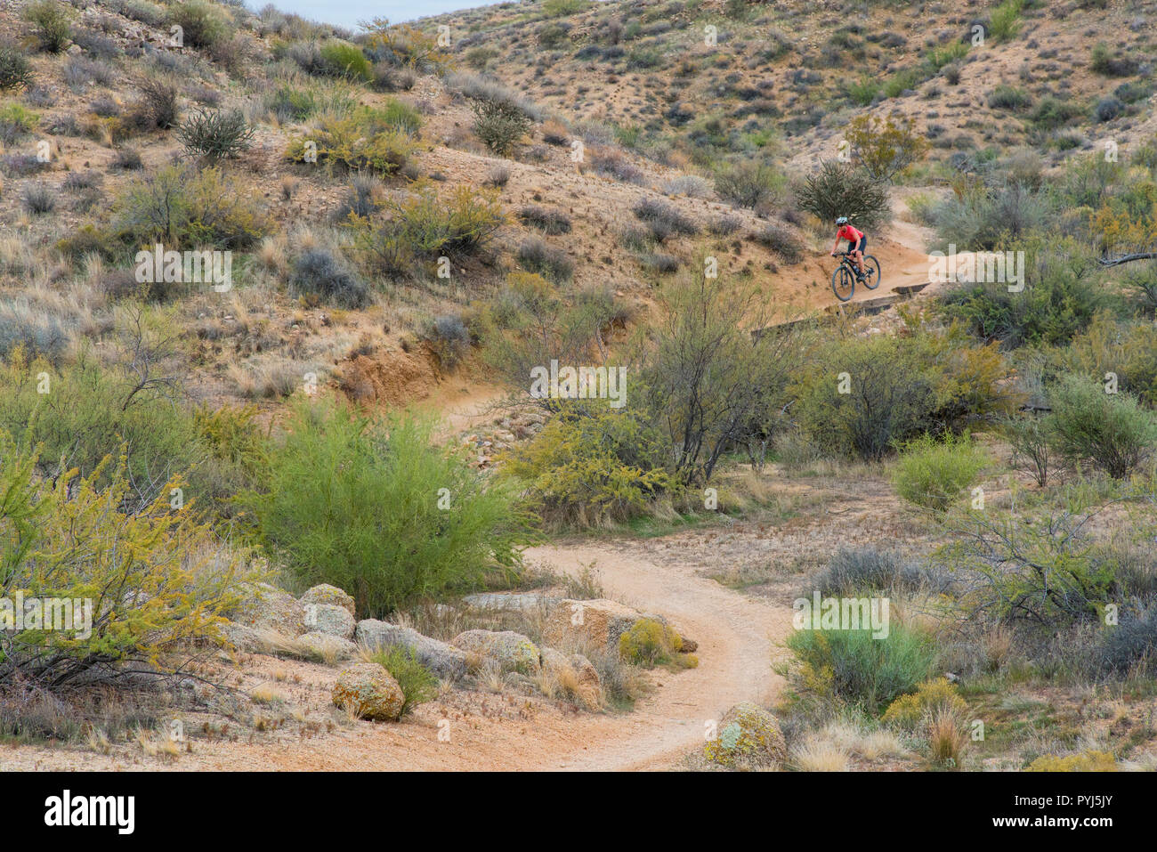 Mountain bike, McDowell montagna parco regionale, vicino alla fontana colline e ad est di Phoenix, Arizona. Foto Stock