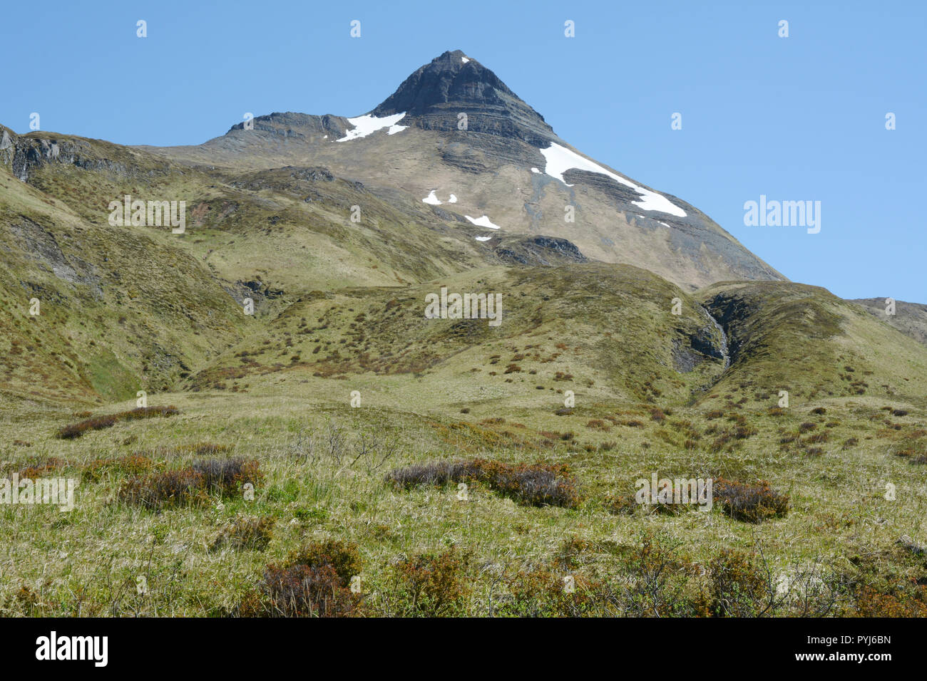 Picco di piramide, che troneggia sopra un prato prato di montagna, sull'isola di Unalaska, arcipelago di Isole Aleutine, Alaska, Stati Uniti. Foto Stock