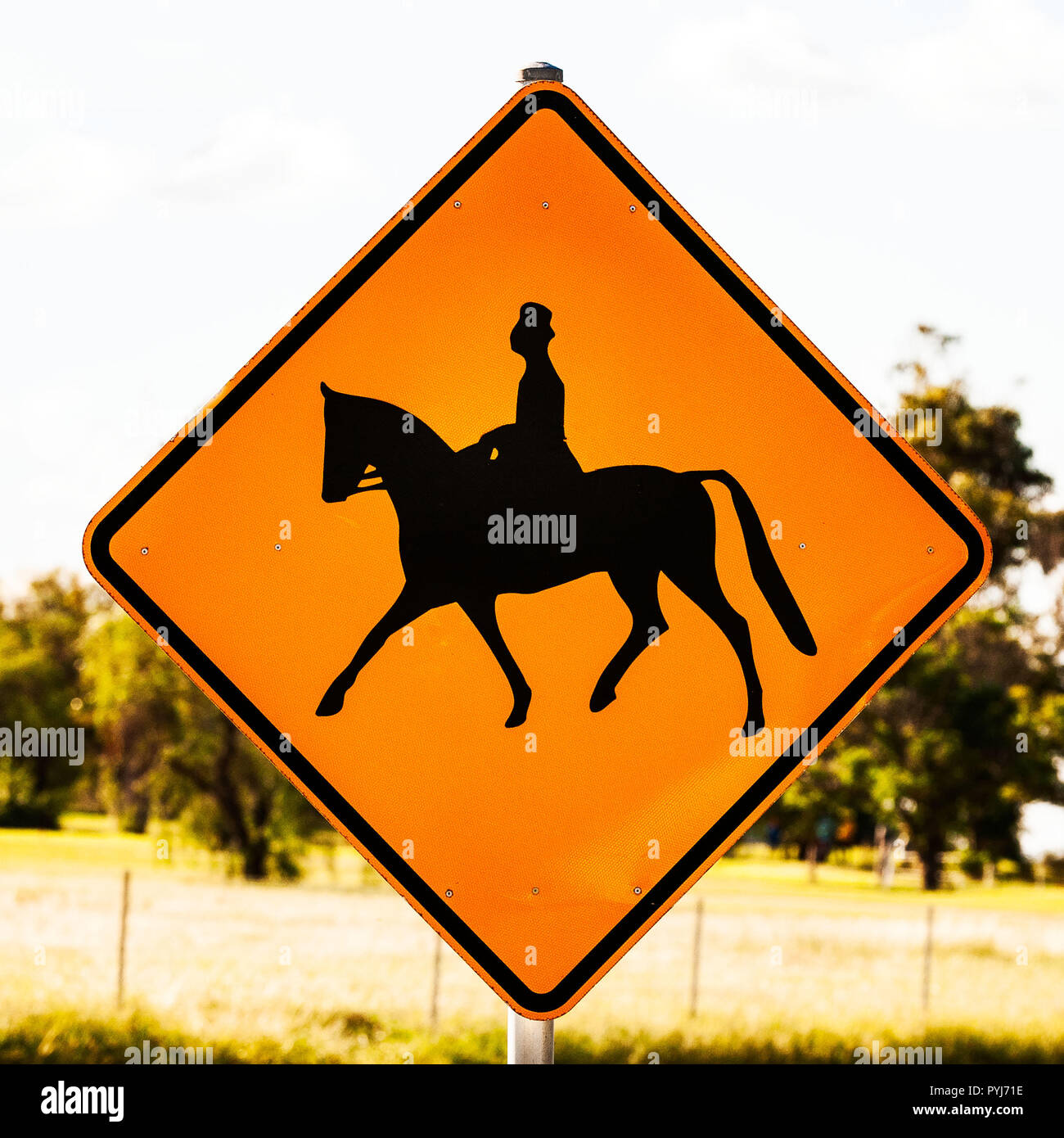 Motif per cavallo femmina rider - indicazioni sulle strade australiane nel paese e all' ambiente urbano. Foto Stock