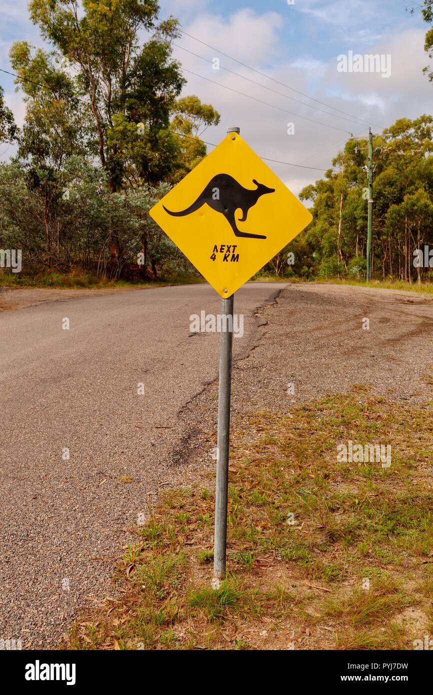 Attenzione di canguri nero per distanza successiva sulla strada. Segni trovati su un outback australiano avventura. Foto Stock