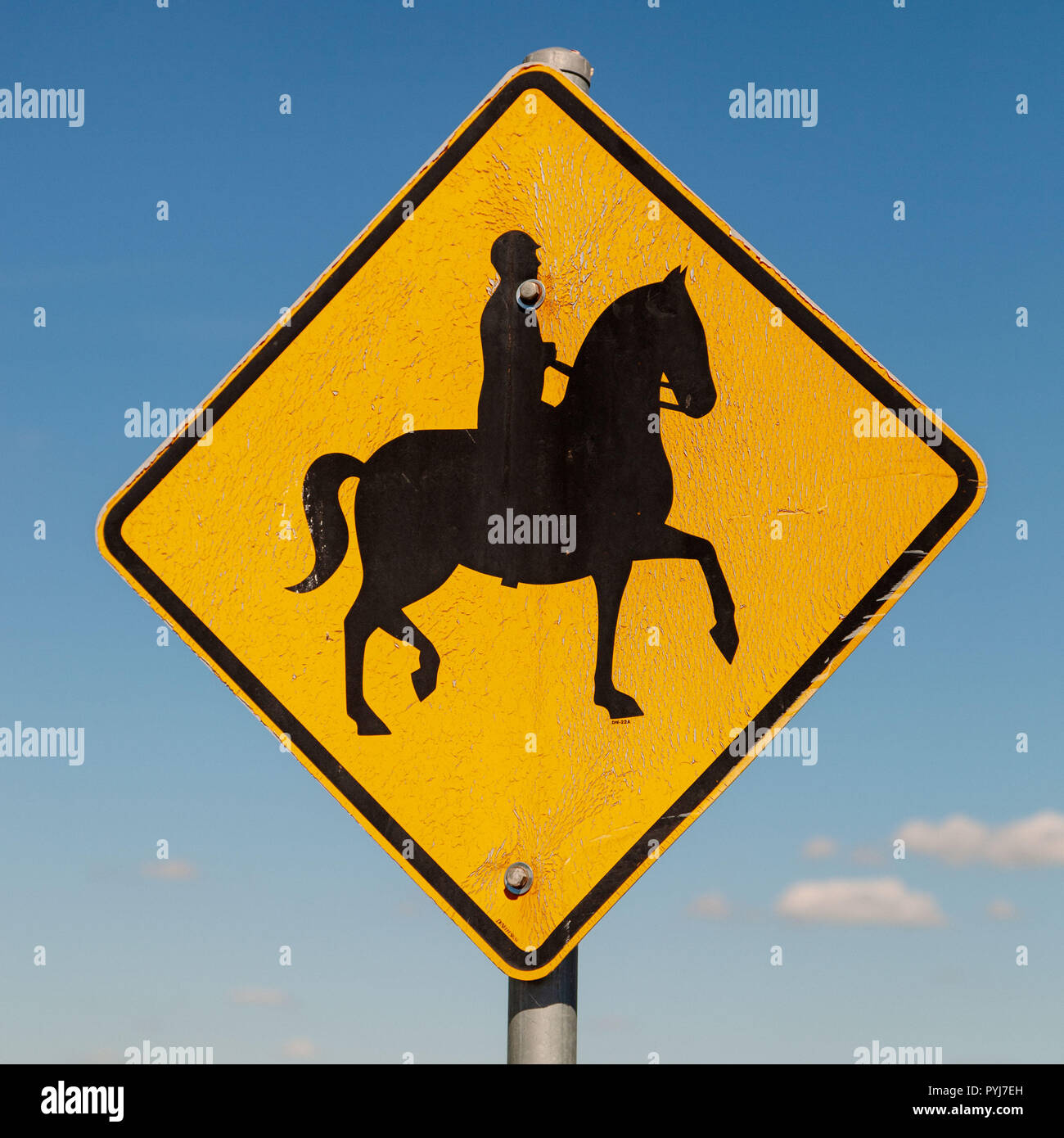 Motif per cavallo maschio rider - indicazioni sulle strade australiane nel paese e all' ambiente urbano. Foto Stock