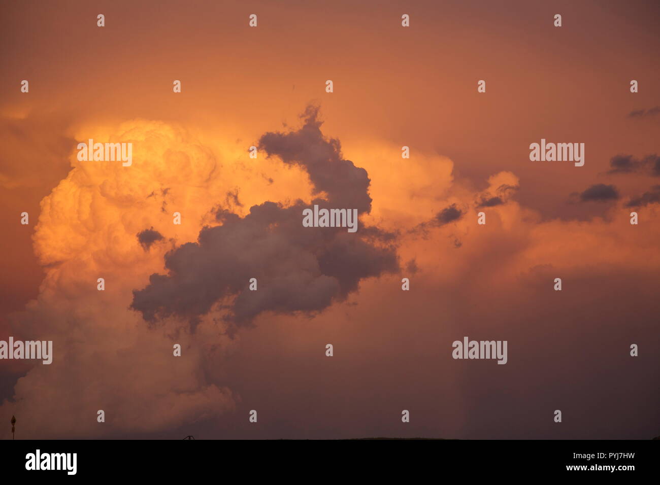 Tempesta di una birra Foto Stock
