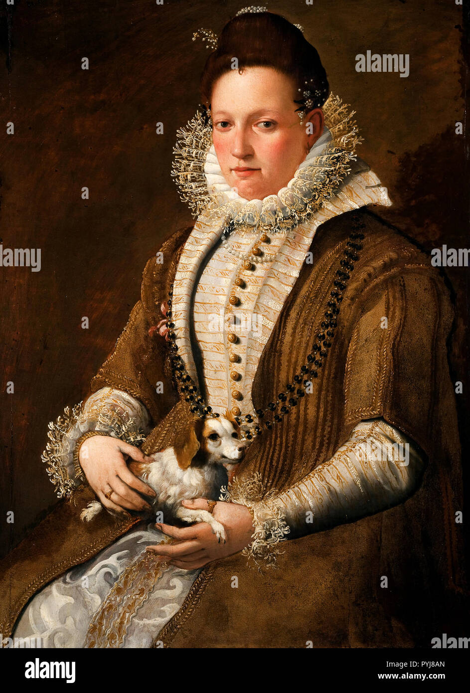 Lavinia Fontana, Ritratto di una donna con un cane, circa 1552-1614 Olio su pannello, Auckland Art Gallery Toi o Tamaki, Auckland, Nuova Zelanda. Foto Stock