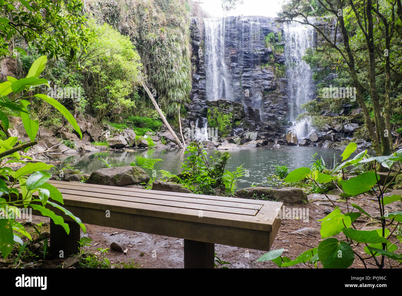 Sedile unico per il relax e il riposo a Wairoa Stream (Te) Wairere cascata escursionismo via, Kerikeri, estremo Nord distretto, Northland e North Island, Nuova Ze Foto Stock
