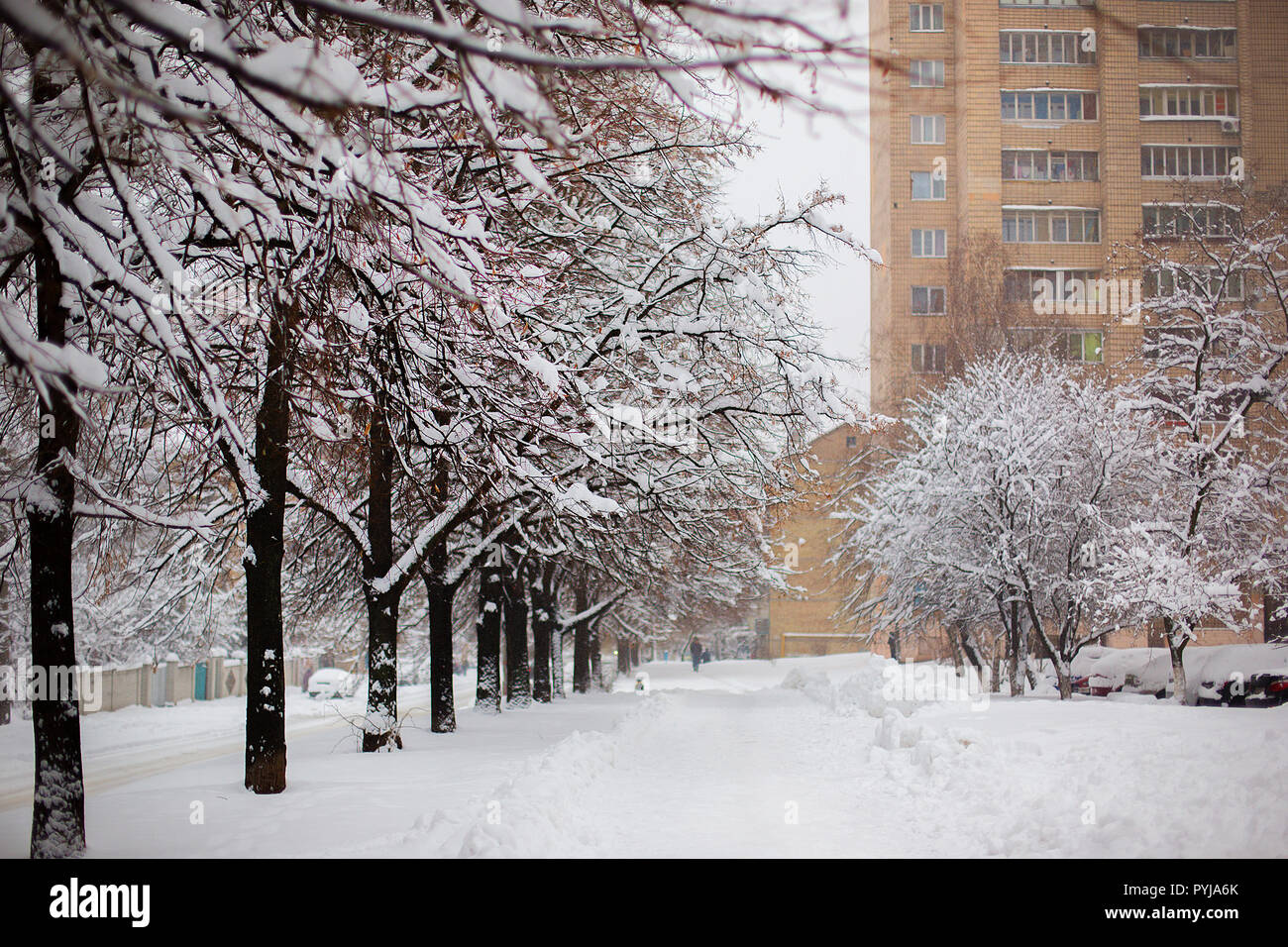 Paesaggio invernale nella città innevate. Città dopo una tempesta di neve, neve sullo sfondo. Foto Stock