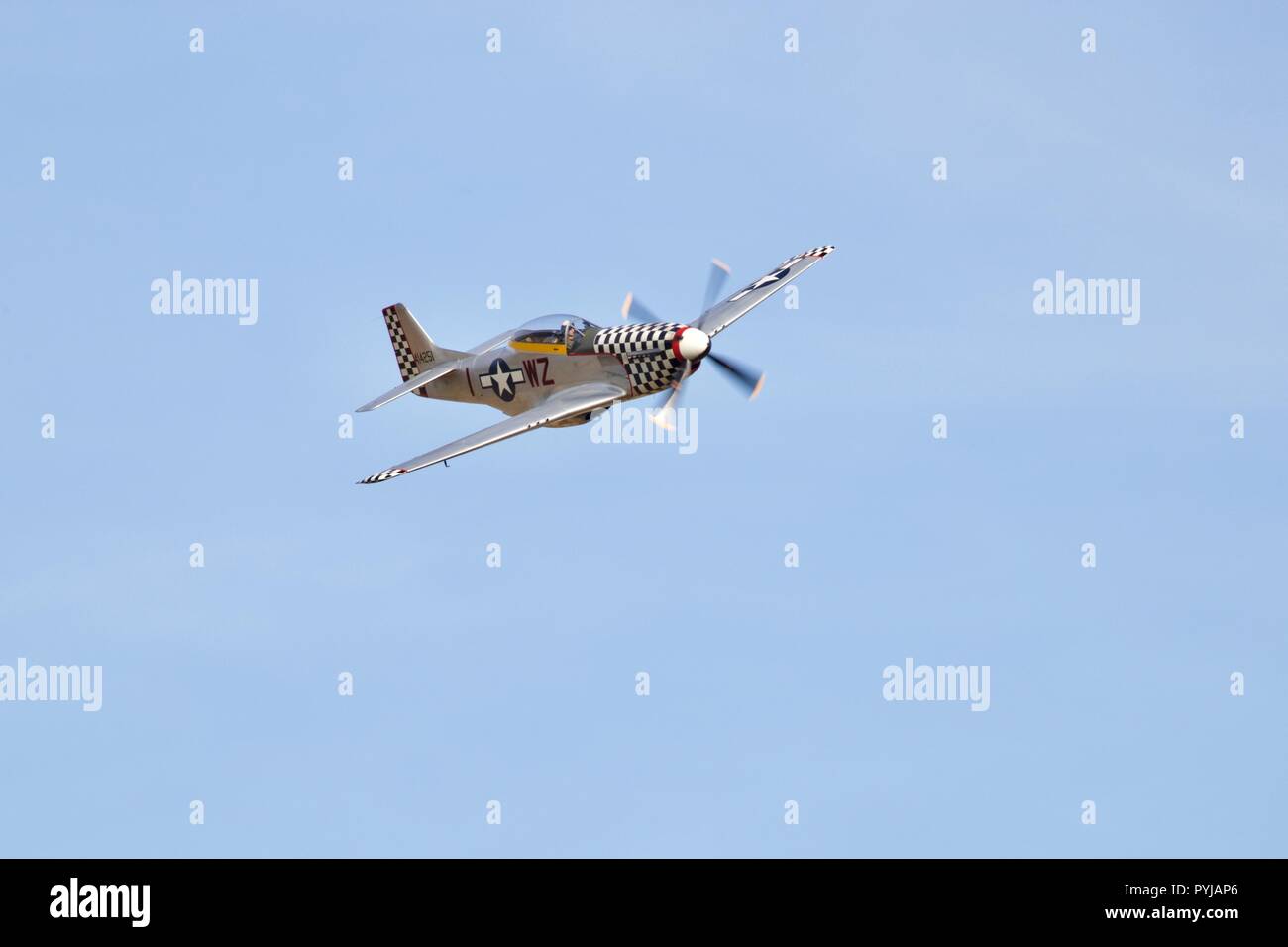 North American TF51D Mustang 'contrario Maria' (G-TFSI) volare a Shuttleworth il giorno della gara il 7 ottobre 2018 Foto Stock