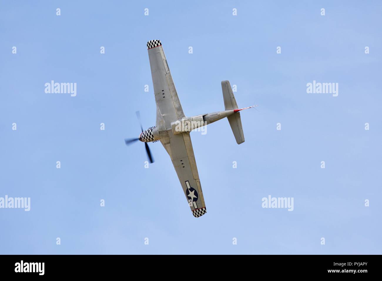 North American TF51D Mustang 'contrario Maria' (G-TFSI) volare a Shuttleworth il giorno della gara il 7 ottobre 2018 Foto Stock